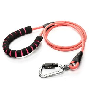 Safety Dog Leash