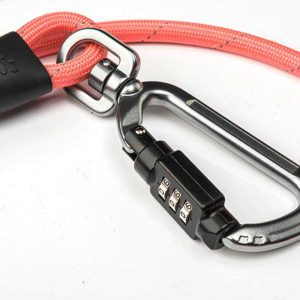 Safety Dog Leash