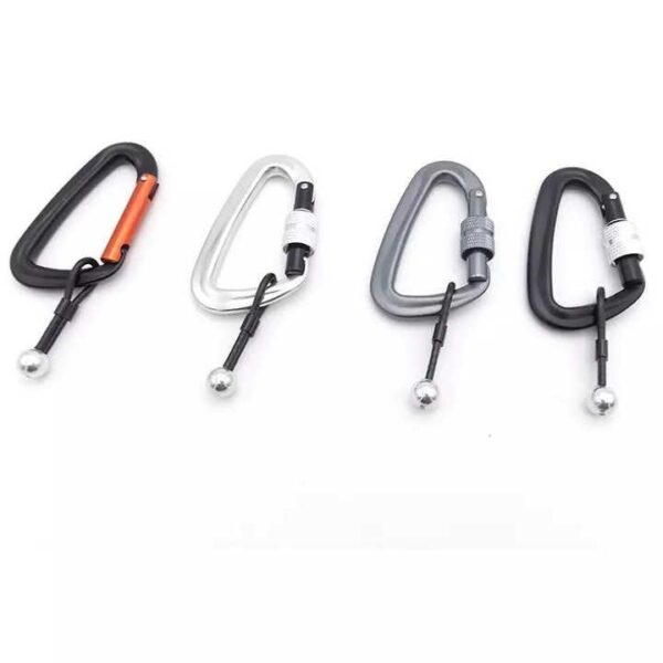 Stainless Steel Carabiner